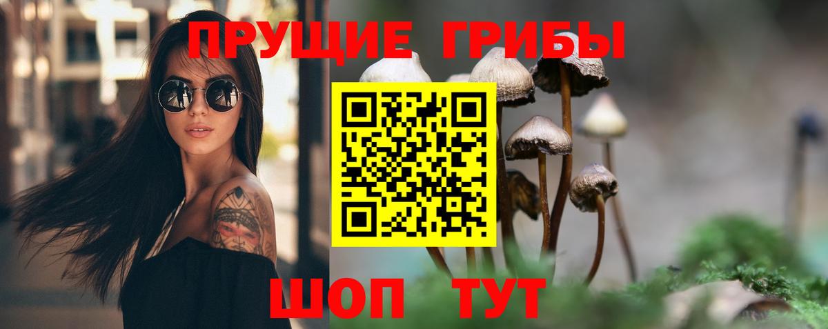 Псилоцибиновые грибы Psilocybe Нижний Новгород